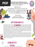 Diapositivas de La Elaboración de Vino de Uva Blanca y Arándano