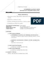 Curriculum Vitae