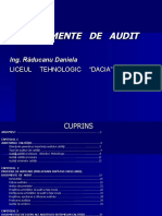 Documente de Audit