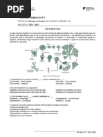 Ficha de Trabalho #7: Enunciado