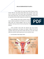 Organ Reproduksi Wanita