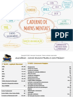 Cadernos de Mapas Mentais Oficial (ATUALIZADO 2021)