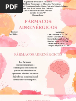 Fármacos Adrenérgicos