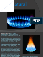 Proiect PPT Gaz Natural