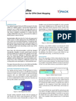 ODU0 ODUflex White Paper 2010-02-15 v1 Web