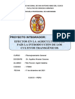 TRABAJO 04 - Proyecto Integra