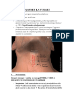 Dyspnée Laryngée - Complement A L - ED - A Lire Car CA Resume La Reference Et Couvre Les Objectifs