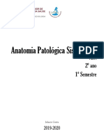 Anatomia Patológica Sistemática