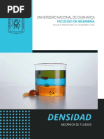 Informe Densidad