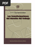 290 - Las Transformaciones Del Derecho Del Trabajo - Alfredo Sánchez Castañeda