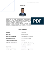 CV Johan A Navarro G. F