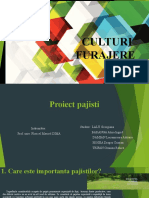 Proiect Pajisti