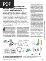 Single-Cell Methylomes Identify Neuronal Subtypes and Regulatory Elements in Mammalian Cortex