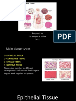 Epithelial Tissue