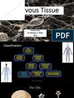 Histology Nervous Tissue