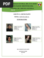 Grupo G. Estufa Seca