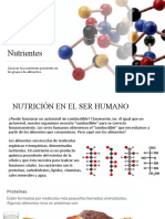 Nutrientes 8vo Básico