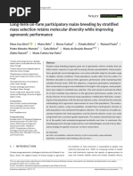 07 - Long-Term On-Farm Participatory Maize Breeding by Stratified Mass Selection Retains Molecular Diversity While Improving Agronomic Performance