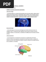 Neurotecnoliga Tarea