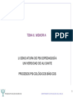 Pps010 Tema 6 - Procesos Psicológicos Basicos