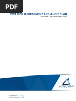 Audit Plan 2021