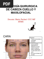 1.-Patología de Cabeza y Cuello