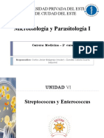 TEMA 2. Género Streptococcus y Enterococcus. UPE - 2020