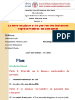 La Mise en Place Et La Gestion Des Instances Représentatives Du Personnel