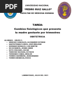Cambios Fisiológicos Que Presenta La Madre Gestante Por Trimestres