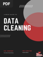 Data Cleaning: A Brief Guide To