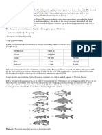 Fish Processing