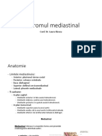 Curs 14. Sindrom Mediastinal