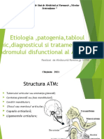 Sindromul Disfunctional Al ATM Minascurta