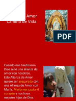 Alianza de Amor Camino de Vida