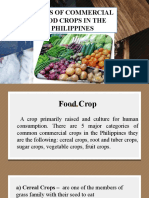 Types of Commercial Food Crops in The Philippines