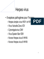 Herpesvirus