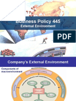 Business Policy 445: External Environment