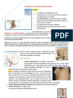 Copia de Ramas Terminales de La Arteria Carotida Externa