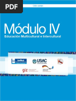 Módulo IV Educacion Multicultural e Intercultural