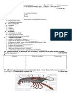 Evaluare Sumativa 2