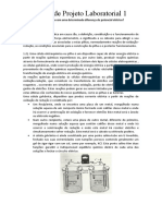 Atividade de Projeto Laboratorial 1: 1.etapa