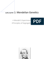 Lecture 1: Mendelian Genetics: - Mendel's Experiments - Principles of Segregation