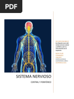 Sistema Nervioso Central y Periferico