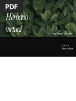 Herbario