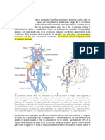 Circulación Fetal - Pediatria