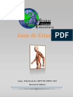 Guia de Estudio GFE2