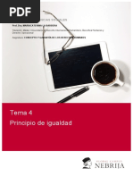 Tema 4 - Principio de Igualdad