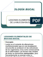 2.1 Lesiones Element Ales de Cavidad Bucal