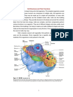 Cell Structures and Their Functions SLA