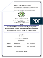 Etude de Faisabilité de La Fracturation Hydraulique Et La Reprise D'un Puits en Short Radius Au Niveau de Réservoir QEH 1